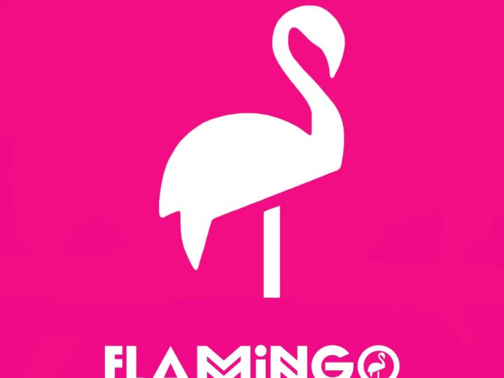 FLAMINGO EXCURSÕES, melhor agência de viagens online de Alagoas será premiada no 8o Oscar Alagoano.