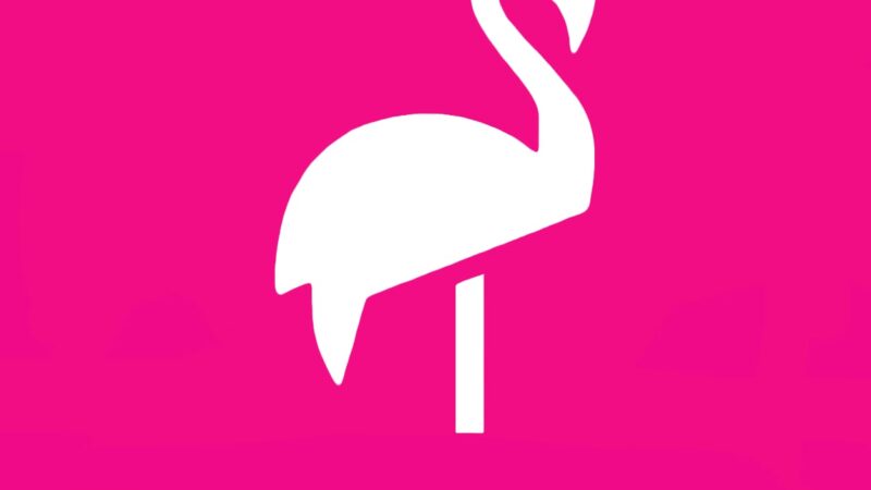 FLAMINGO EXCURSÕES, melhor agência de viagens online de Alagoas será premiada no 8o Oscar Alagoano.