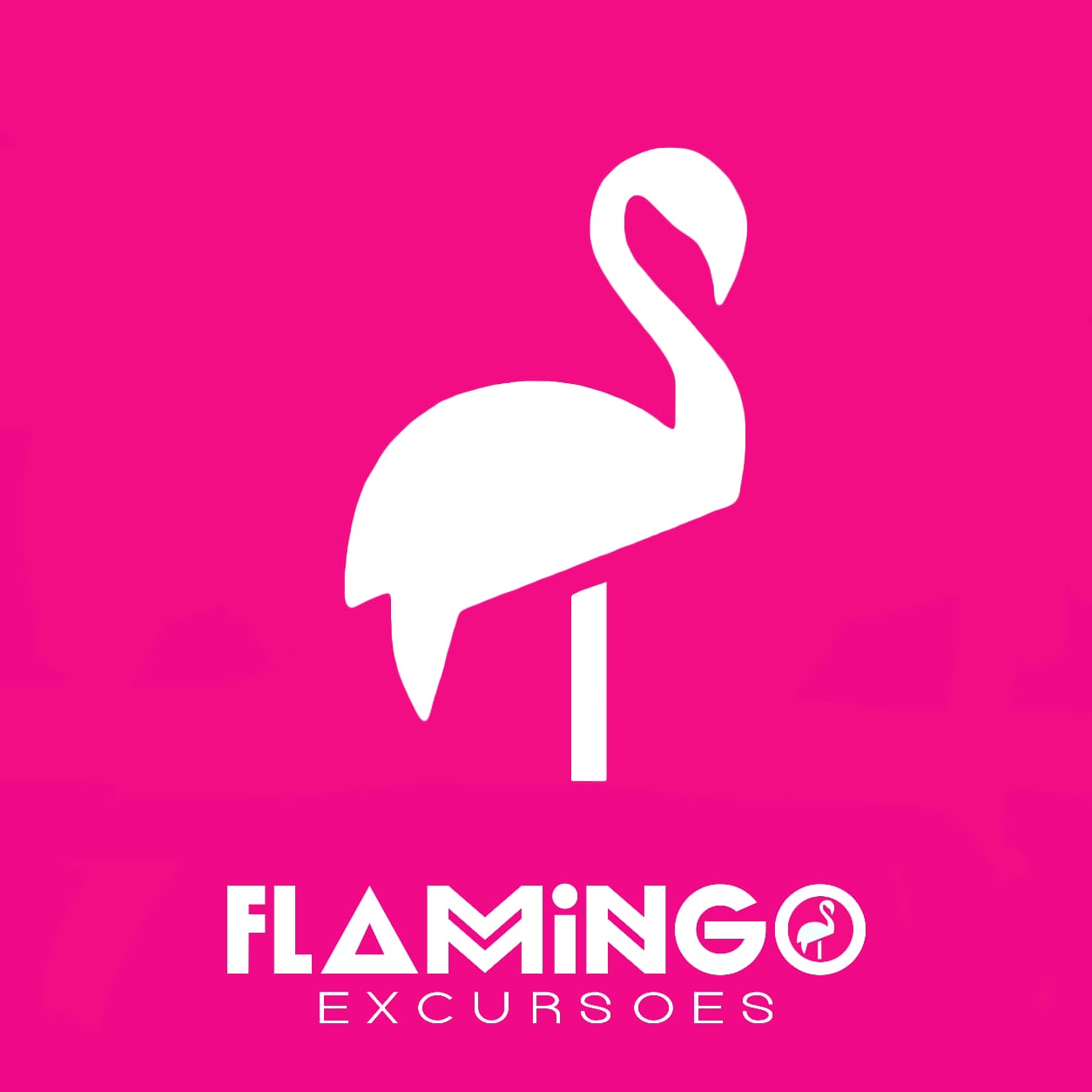 FLAMINGO EXCURSÕES, melhor agência de viagens online de Alagoas será premiada no 8o Oscar Alagoano.