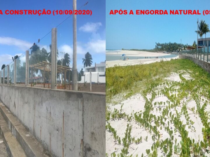 Estrutura conhecida como bagwall pode ser a solução para salvar muitas praias alagoanas, segundo especialista.