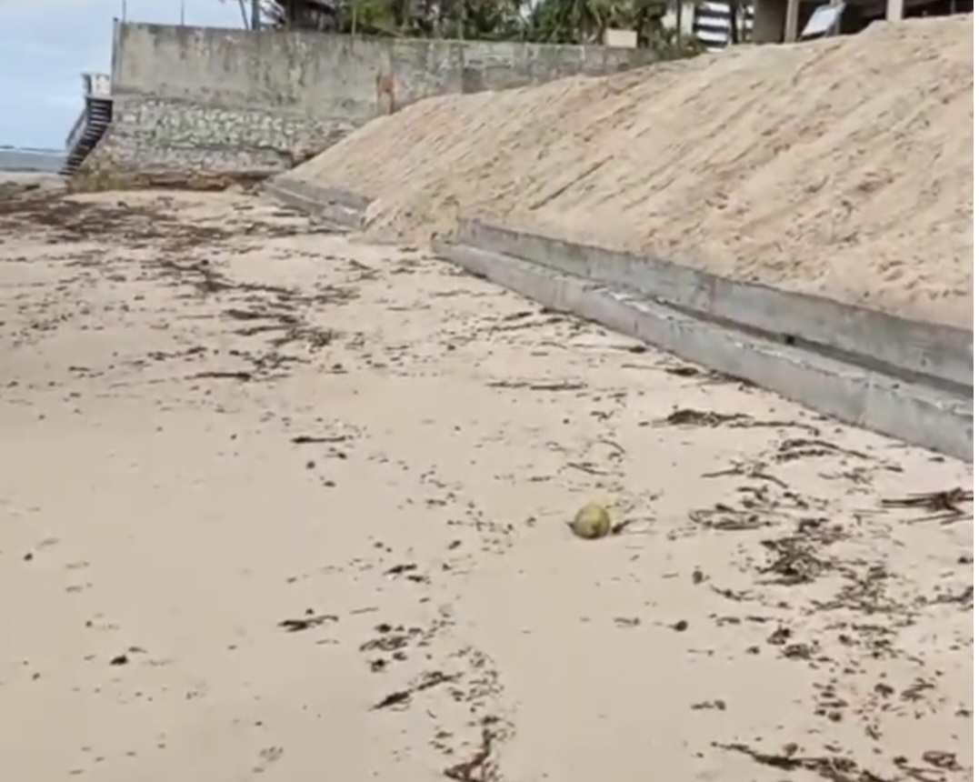 A importância da proteção costeira no litoral alagoano