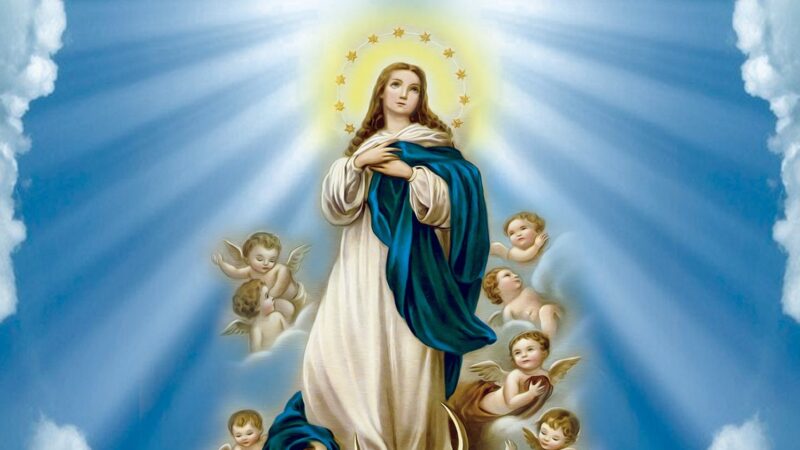 FESTA DE NOSSA SENHORA DA CONCEIÇÃO COMEÇA HOJE NA BARRA DE SANTO ANTÔNIO