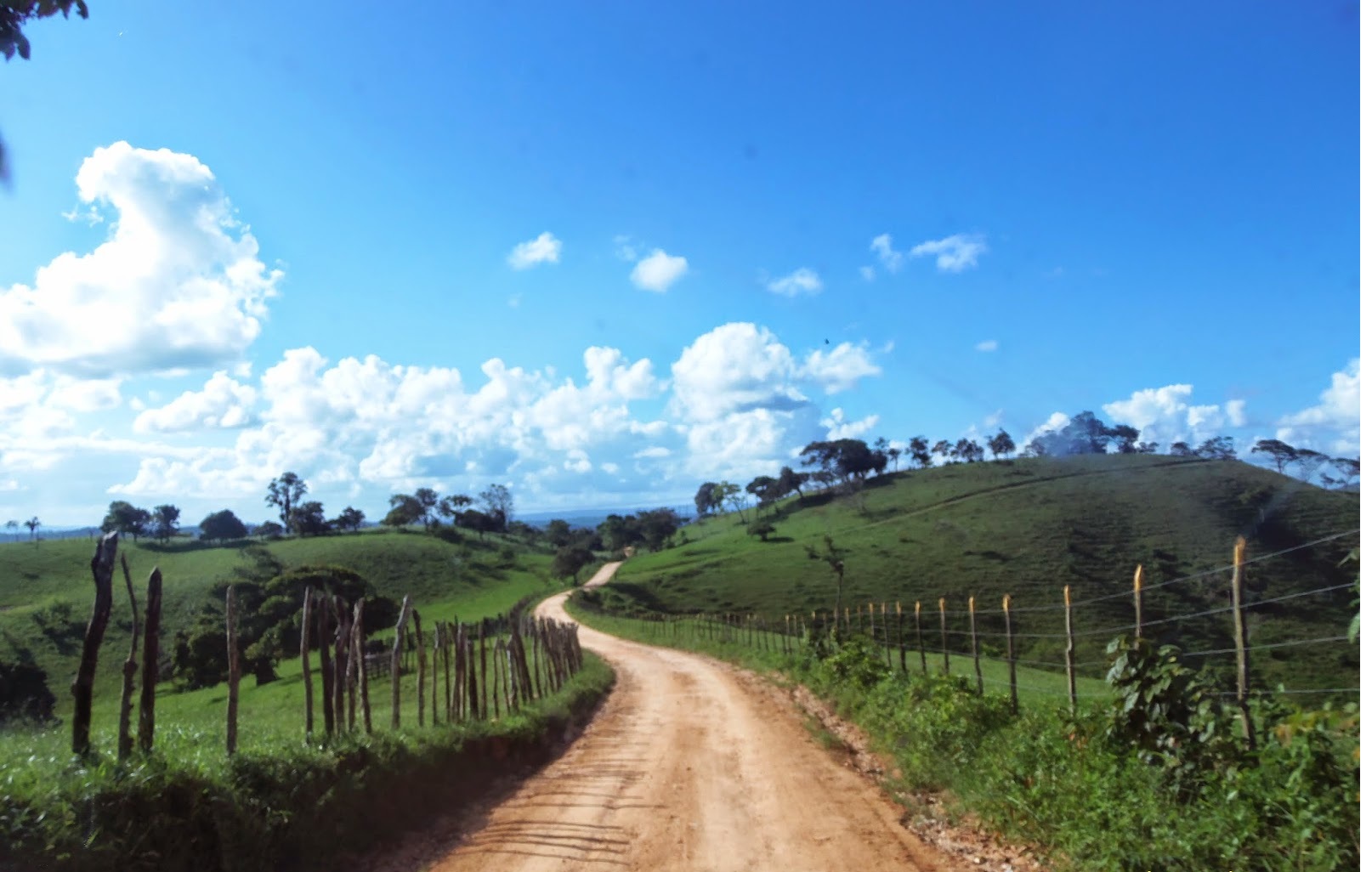 Família denuncia tentativa de invasão de terra e ameaças em Maribondo